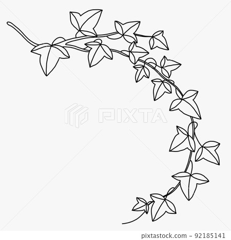 Simplicity ivy freehand drawing flat design. 92185141
