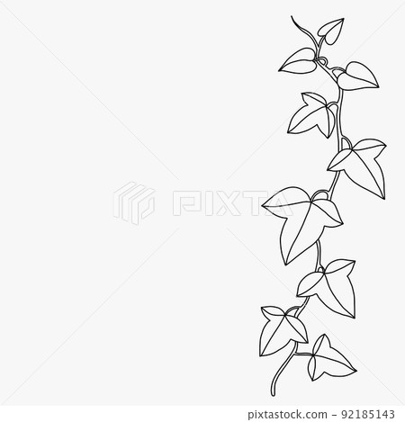 Simplicity ivy freehand drawing flat design. Simplicity ivy freehand drawing flat design. 92185143