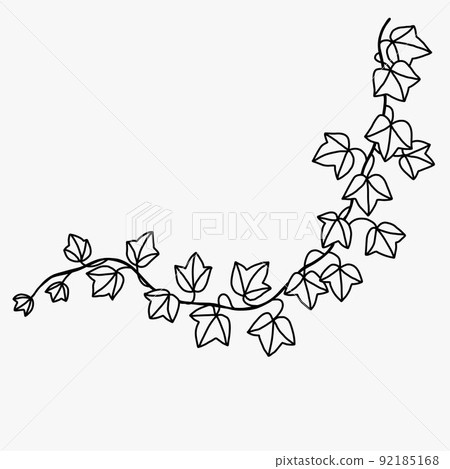 Simplicity ivy freehand drawing flat design. 92185168