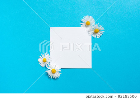 Sticky Note With Important Messages With Flowers On Both Sides. Memo With Crutial Informations With Daisies Around. Piece Of Paper With Current Announcements. 92185500