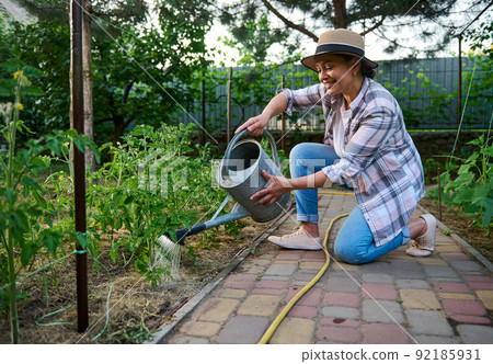 Inspired woman farmer caring for planted tomato seedlings, watering cultivated plants in an organic vegetables garden. 92185931