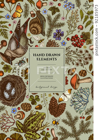 Mysterious forest pattern card design. Hand drawn waxwing, snail, nest, pool frog, moss, spruce branch, pine cones, chamomile, insect, aspen mushroom, red currant, oak, ginkgo, rowan, forget me not 92185973