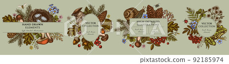 Mysterious forest hand drawn frame templates. Vintage illustrations of waxwing, snail, nest, pool frog, moss, spruce branch, pine cones, chamomile, insect, aspen mushroom, porcini, red currant, oak 92185974