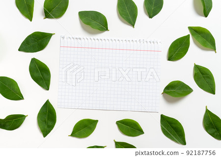 Notebook Sheet With Checked Patterned Lines Placed Between Fresh Leaves For Layout Of Invitation And Cards. Empty Page Surrounded With Foliage Leafage For Creative Banner. 92187756