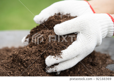 Hand holding peat moss organic matter improve soil for agriculture organic plant growing, ecology concept. Hand holding peat moss organic matter improve soil for agriculture organic plant growing, ecology concept. 92188369