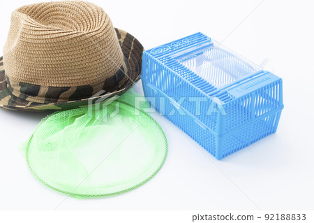Summer image insect catching 92188833
