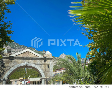 exotic green plants in a hot country. palm trees with long, green leaves. trees near the hotel building, hall with brick buildings, concrete roofs exotic green plants in a hot country. palm trees with long, green leaves. trees near the hotel building, hall with brick buildings, concrete roofs 92191947