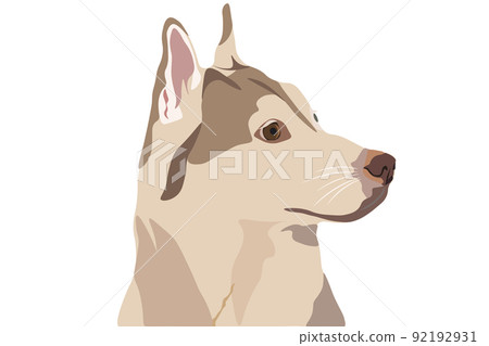 Portrait of an Isabella Husky, in profile. Realism. Portrait of an Isabella Husky, in profile. Realism. 92192931