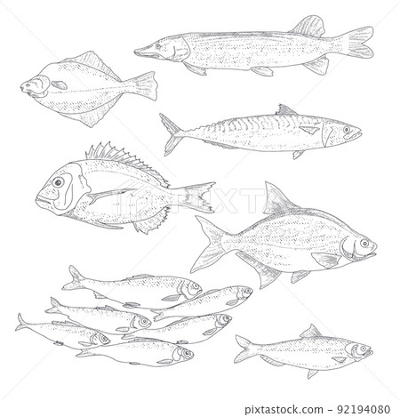 A collection of fish in vintage style 92194080