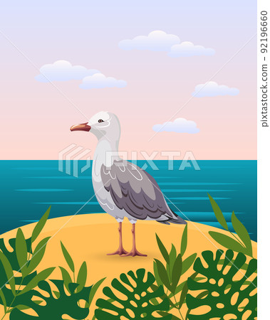 seagull, gull, bird 92196660