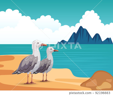 seagull, ocean, beach 92196663