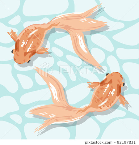 fish, vector, goldfish 92197831