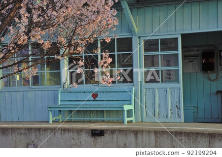 心形長凳和櫻花盛開 心形長凳和櫻花盛開 92199204