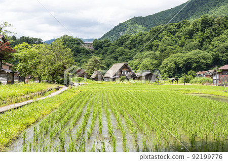 夏川白川鎮 夏川白川鎮 92199776