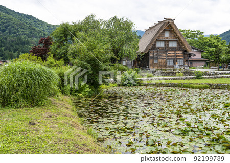 夏川白川鎮 92199789