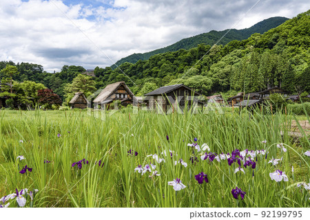 Summer Shirakawa Town 92199795