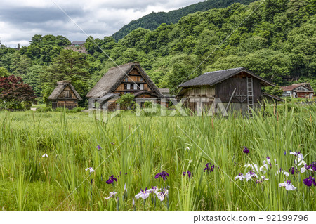 夏川白川鎮 92199796