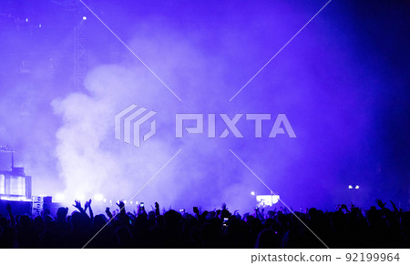 crowd at concert - summer music festival crowd at concert - summer music festival 92199964