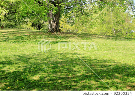 Fresh green park Fresh green park 92200334
