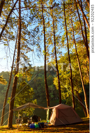 Beautiful landscape camping in pine forest trees at Pang-Ung, Mae Hong Son, Thailand. Beautiful landscape camping in pine forest trees at Pang-Ung, Mae Hong Son, Thailand. 92202485
