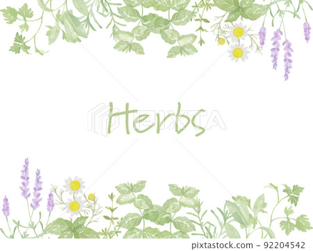 Frame of herbs drawn in watercolor Frame of herbs drawn in watercolor 92204542