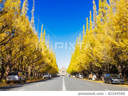Autumn Jingu Gaien, a row of Icho trees Autumn Jingu Gaien, a row of Icho trees 92204560