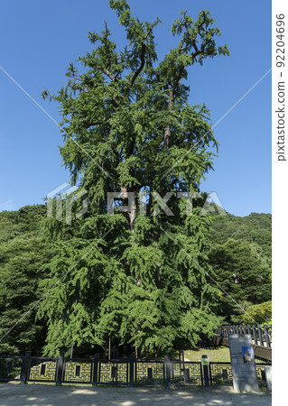 永明寺 永明寺 92204696