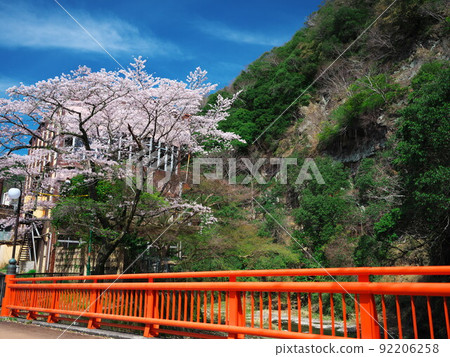 三重縣津市栃原町栃原川和海石山盛開 三重縣津市栃原町栃原川和海石山盛開 92206258