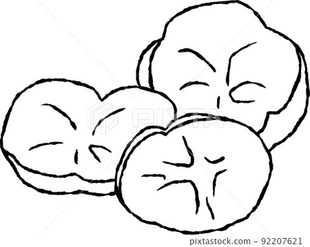 Chrysanthemum Chrysanthemum 92207621