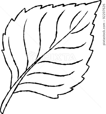 Macrophyll  92207626