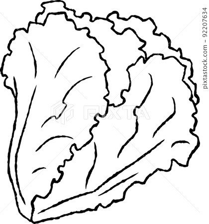 陽光生菜 92207634