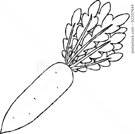 日本蘿蔔 92207644