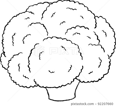 cauliflower cauliflower 92207660