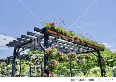 Pergola and spring hanging basket flowers 92207877