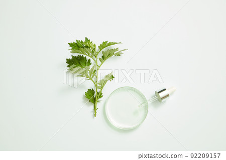 mugwort decorated with petri dish and glassware , top view , nature plant for benefit of health , white background for health advertising mugwort decorated with petri dish and glassware , top view , nature plant for benefit of health , white background for health advertising 92209157