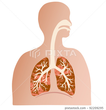 Colorful lung and bronchial illustrations and silhouettes of people with watercolor textures Colorful lung and bronchial illustrations and silhouettes of people with watercolor textures 92209295
