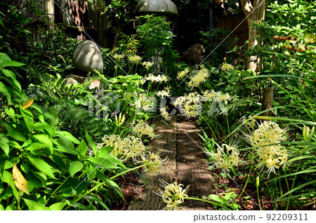 Yamato City Flower Temple Josenji Temple Higanbana Yamato City Flower Temple Josenji Temple Higanbana 92209311