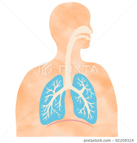 Colorful lung and bronchial illustrations and silhouettes of people with watercolor textures 92209324