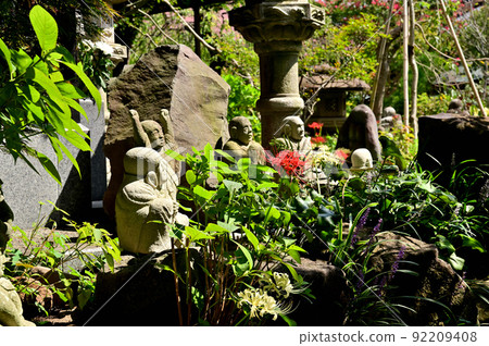大和市花寺 城泉寺 彼岸花 大和市花寺 城泉寺 彼岸花 92209408