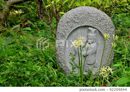 大和市花寺 城泉寺 彼岸花 大和市花寺 城泉寺 彼岸花 92209844
