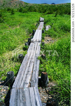 A wooden path at the trailhead 92211226