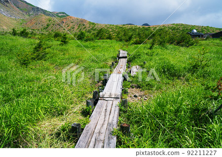 A wooden path at the trailhead 92211227