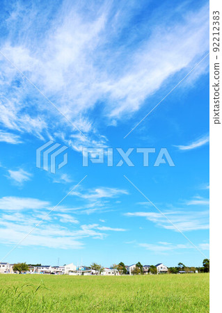 秋天的藍天和城市的公園風景 92212383