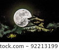 Gifu Castle and full moon 92213199