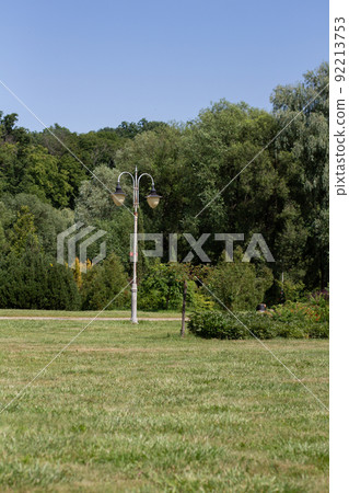 green meadow in the park with trees green meadow in the park with trees 92213753
