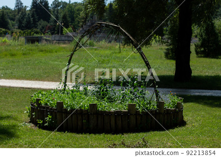 beautiful flowerbed in the middle of the lawn beautiful flowerbed in the middle of the lawn 92213854