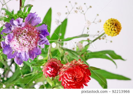 一束天然花卉，植物框架，室內攝影 92213966