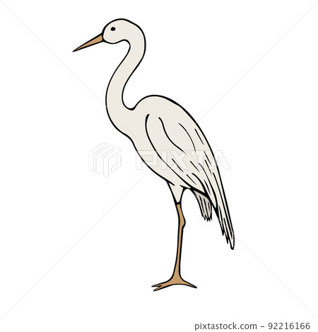 Vector hand drawn doodle sketch colored heron 92216166