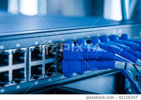 blue patch cables connected to ethernet ports of the switch 92216307