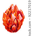 Red stone crystal. Hand-drawn illustration. The Beryl gem. 92217019
